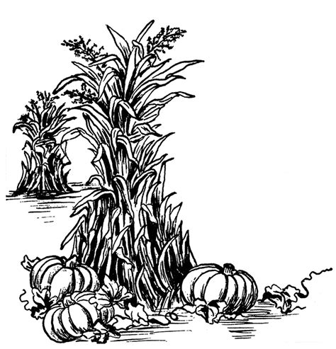 fall clipart|fall clip art black and white.